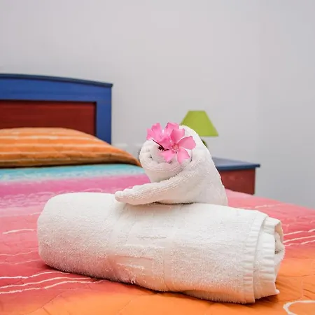 Apartment Light House