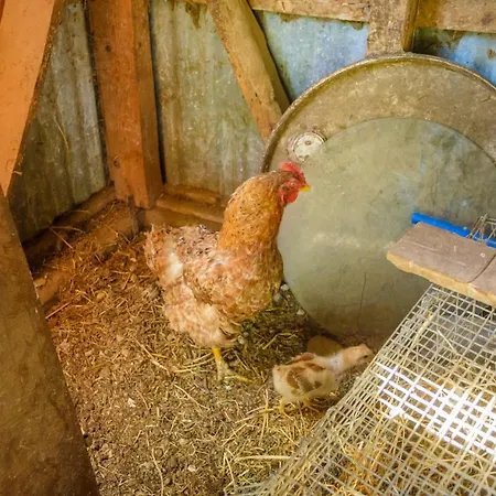 Light House * Katelios