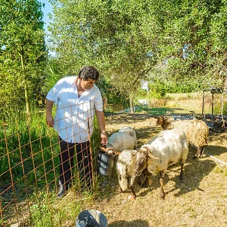 Light House * Katelios