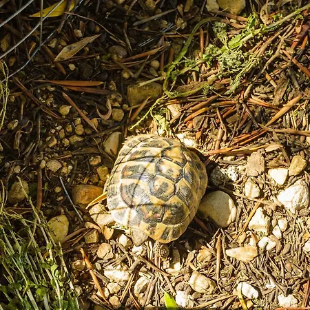 Light House Appartement