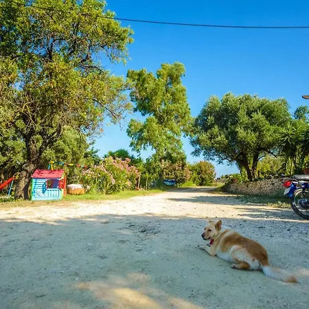 Appartement Light House