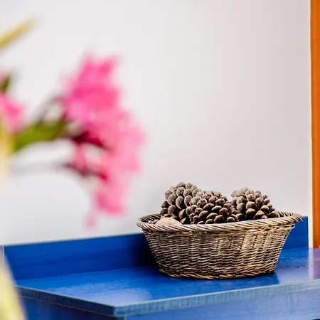 Apartman Light House