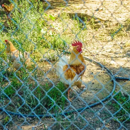 Appartement Light House