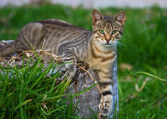 Apartamento Light House *