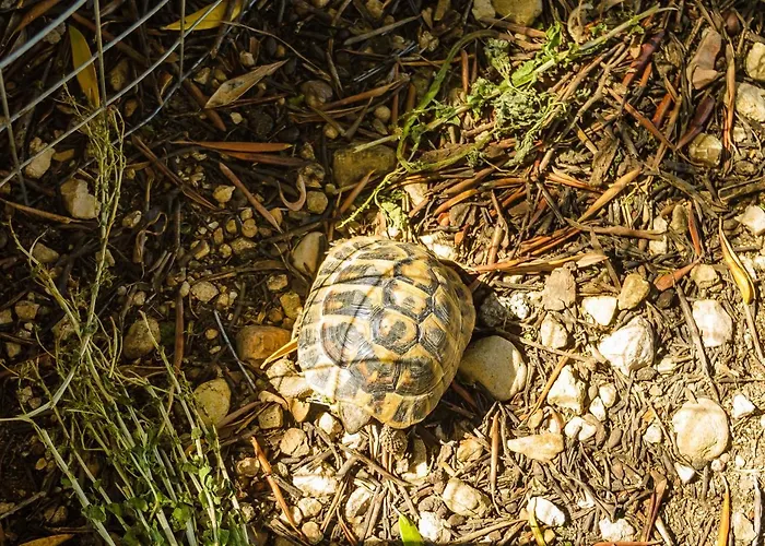 Light House Apartamento