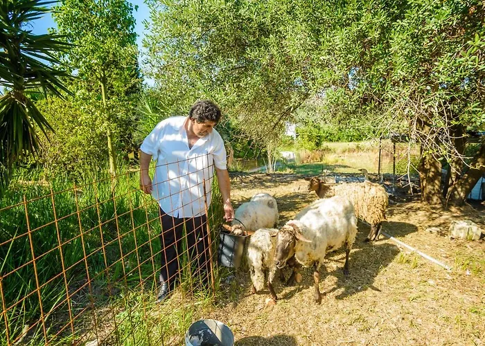 Light House * Katelios