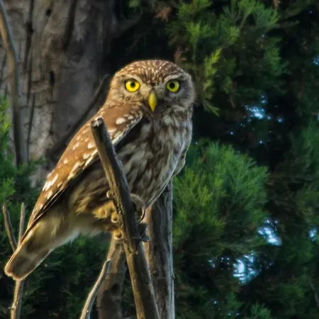 Light House Appartamento Katelios